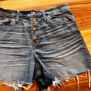 Madewell High-Rise Denim Shorts, Size 31
